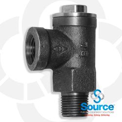 1/2 Inch NPT Ductile Iron 25 PSI Expansion Relief Valve With Stainless Steel Cap  Spring  And Ball
