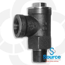 1/2 Inch NPT Ductile Iron 40 PSI Expansion Relief Valve With Stainless Steel Cap  Spring  And Ball