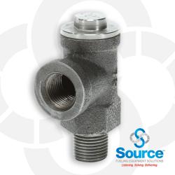 1/2 Inch NPT Ductile Iron 100 PSI Expansion Relief Valve With Stainless Steel Cap  Spring  And Ball